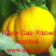 Rajče tyčkové Yellow Gazzi Ribbed