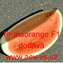 Meloun vodní hybridní Primaorange F1