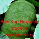 Tykev velkoplodá Blue Kuri Hokkaido