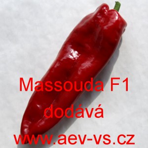 Paprika roční zeleninová hybridní Massouda F1 (Italian Dulce)