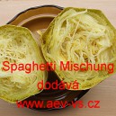 Tykev obecná špagetová Spaghetti Mischung