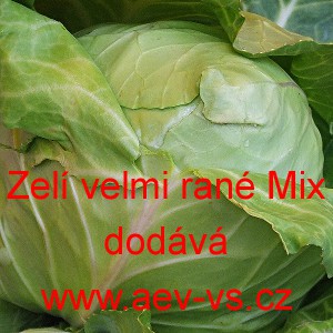 Zelí hlávkové bílé velmi rané Mix