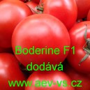 Rajče tyčkové hybridní Boderine F1